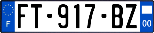 FT-917-BZ