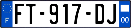 FT-917-DJ