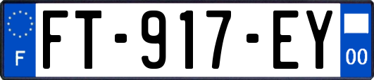 FT-917-EY