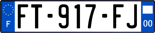 FT-917-FJ