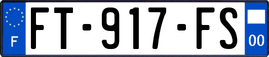 FT-917-FS