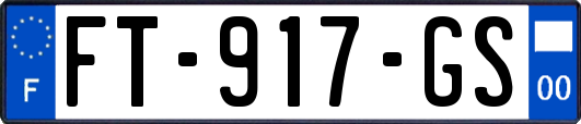 FT-917-GS