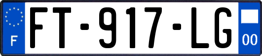 FT-917-LG