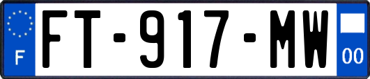 FT-917-MW