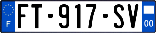 FT-917-SV