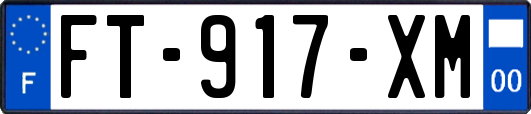 FT-917-XM