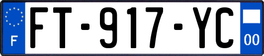 FT-917-YC