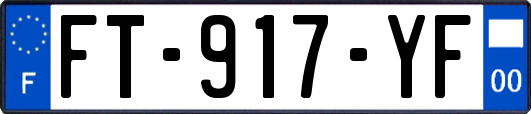 FT-917-YF