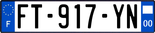 FT-917-YN