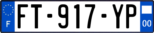 FT-917-YP