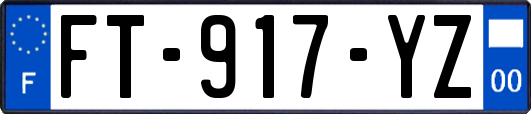 FT-917-YZ