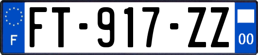 FT-917-ZZ