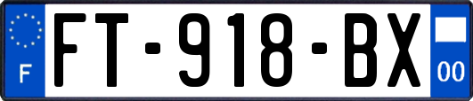 FT-918-BX