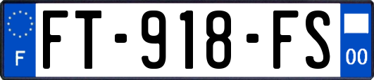 FT-918-FS