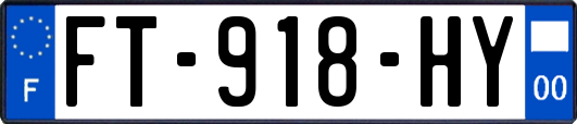 FT-918-HY