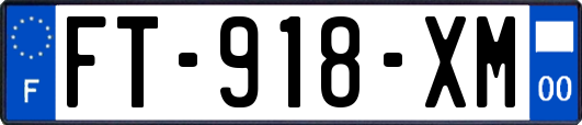 FT-918-XM