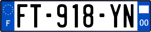 FT-918-YN