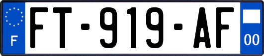FT-919-AF