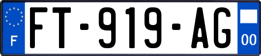 FT-919-AG