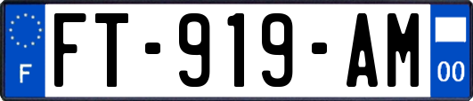 FT-919-AM