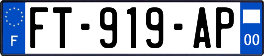 FT-919-AP