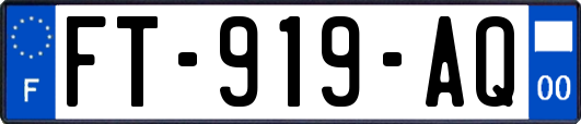 FT-919-AQ