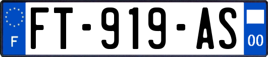 FT-919-AS