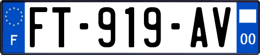 FT-919-AV