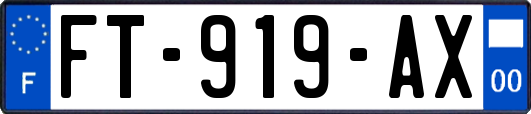 FT-919-AX