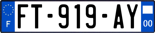 FT-919-AY