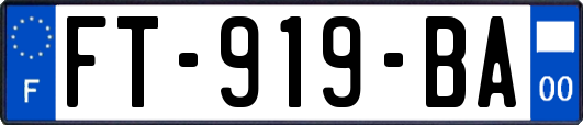 FT-919-BA