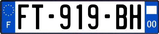 FT-919-BH