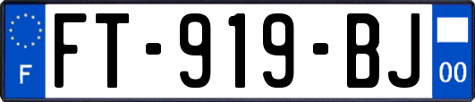 FT-919-BJ