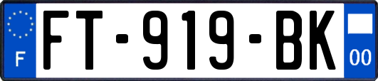 FT-919-BK