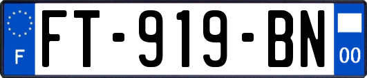 FT-919-BN
