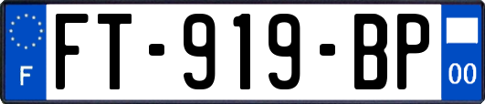 FT-919-BP