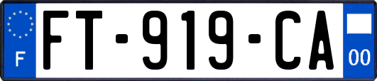 FT-919-CA