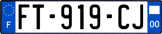 FT-919-CJ