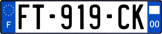 FT-919-CK