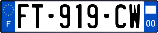 FT-919-CW