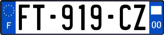 FT-919-CZ