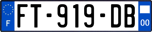 FT-919-DB