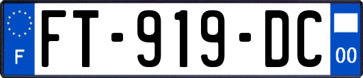 FT-919-DC