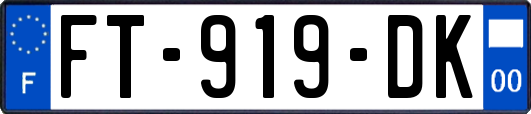 FT-919-DK