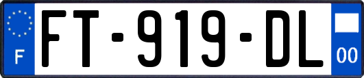 FT-919-DL