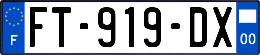 FT-919-DX