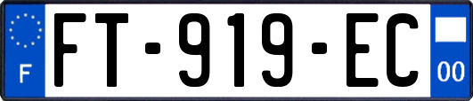 FT-919-EC