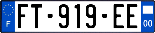 FT-919-EE