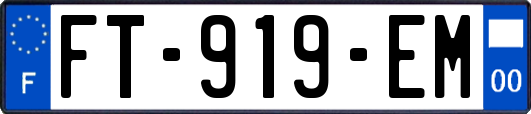 FT-919-EM