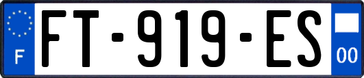 FT-919-ES